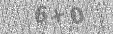 Challenge